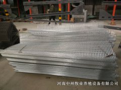 雞籠怎么樣鑒別質(zhì)量