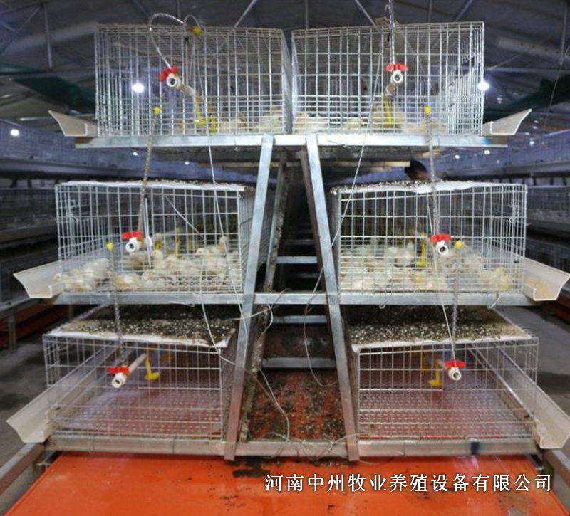 雞籠