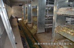 怎么樣能延長雞籠使用年限
