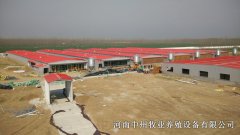 規(guī)?；B(yǎng)殖場蛋雞籠的規(guī)劃布局