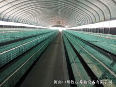蛋雞籠可以使用多常時間
