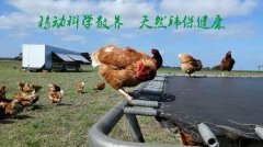 福利雞籠到底是怎么回事？福利雞籠有什么好處
