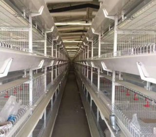 四層層疊肉雞籠