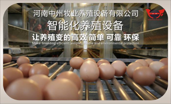 養(yǎng)雞設(shè)備