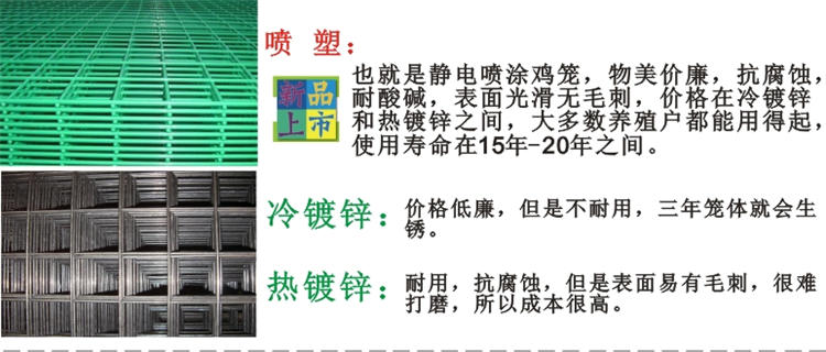 養(yǎng)雞設備-中州農(nóng)牧科技