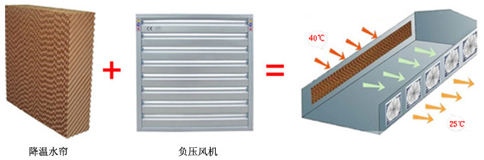 養(yǎng)雞設(shè)備,中州農(nóng)牧科技