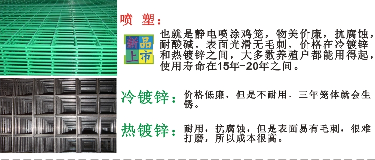 養(yǎng)雞設(shè)備-中州農(nóng)牧科技